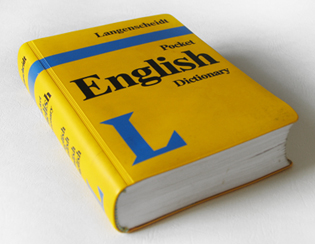 Cambridge students as teachers for teaching daily English and presentation skills